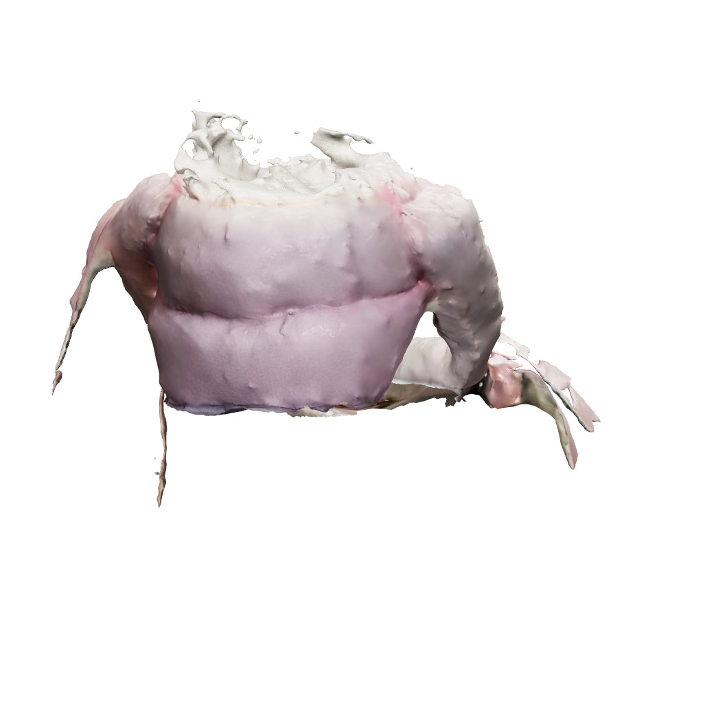 Light pink bag
