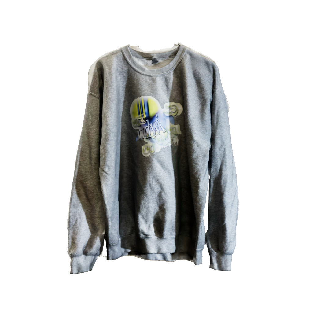 udwi sweatshirt